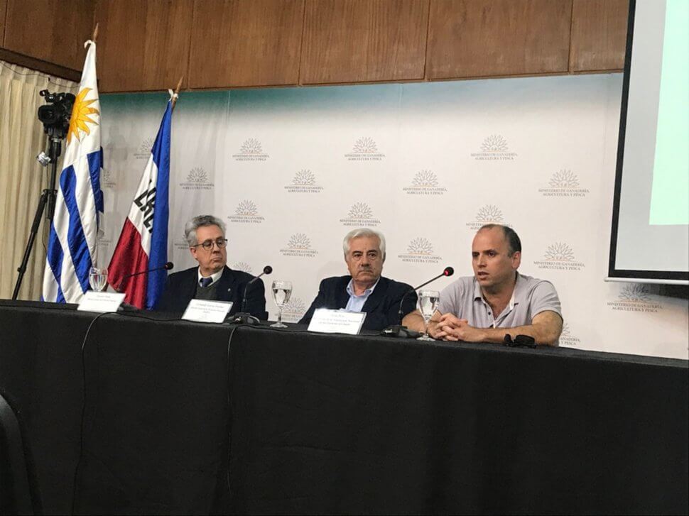 Vicente Plata, Fernando García Préchac y Mario Pérez